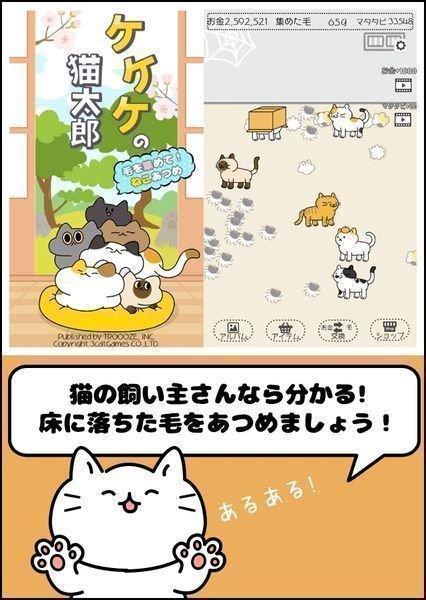 毛团猫太郎