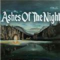 灰烬之夜游戏汉化中文版（Ashes of the Night）