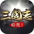 幻想三国志5 九游版