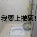 我要上撤硕游戏