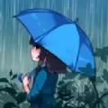 悠扬的雨声 最新版