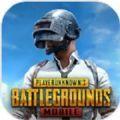 pubg mobile全球服安卓手游下载安装 v1.9.0