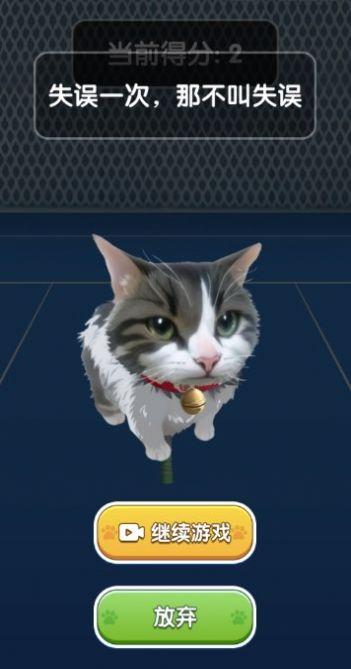 猫咪网球官方版图2