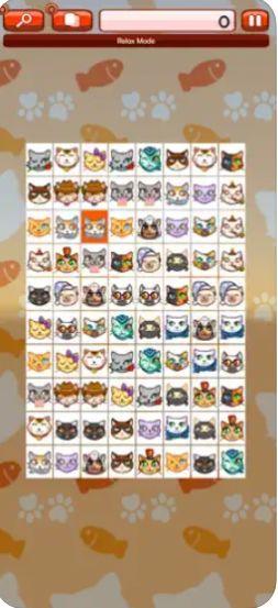 Onet Cat Portrait苹果版图3