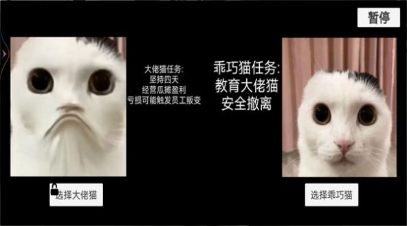 猫猫惊魂夜最新手机版图1