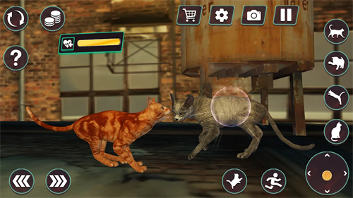 猫咪格斗战争模拟器手机版图3