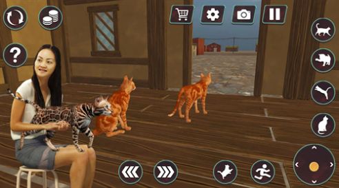 猫咪格斗战争模拟器手机版游戏截图