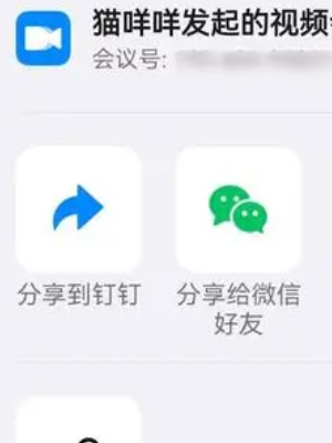 微信怎么用钉钉开会议视频 微信上用钉钉开会方法图6