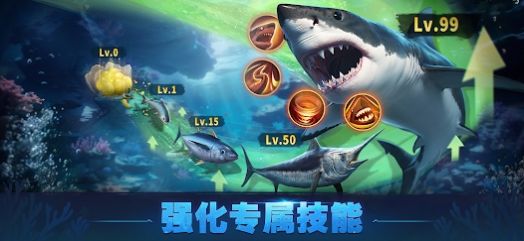 Top Fish中文版最新版图3