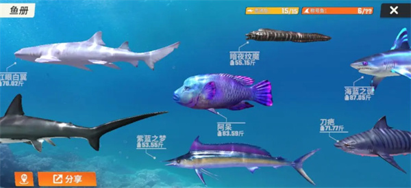 欢乐钓鱼大师鱼类图鉴攻略 全部种类的鱼图鉴一览图3
