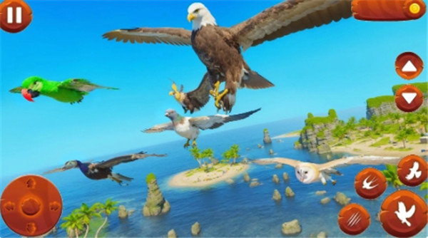 野生鸟类模拟器游戏截图